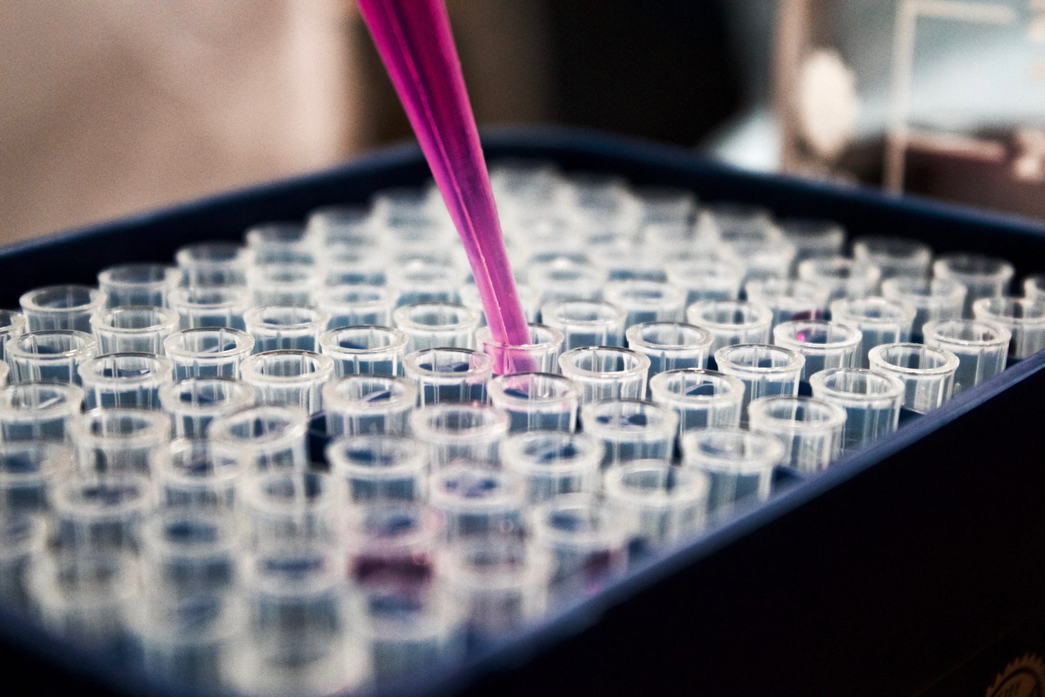 What exactly is ‘Functional’ testing?