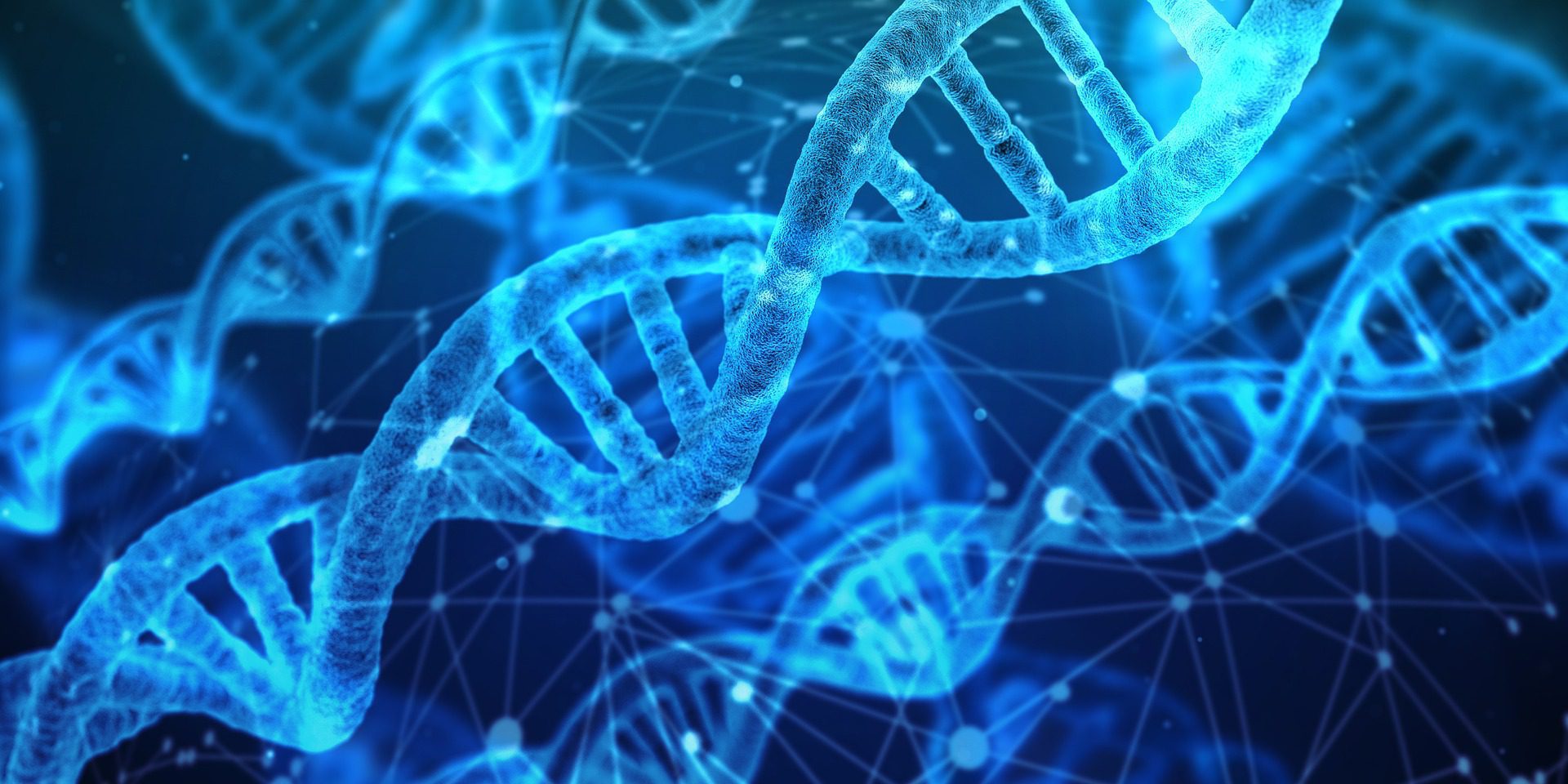 Genetic Testing For Athletes – What can it tell me?