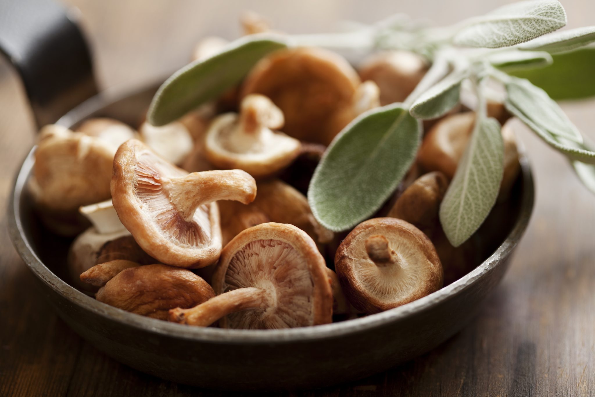 Medicinal Mushrooms and Immune Boosting Soup Recipe