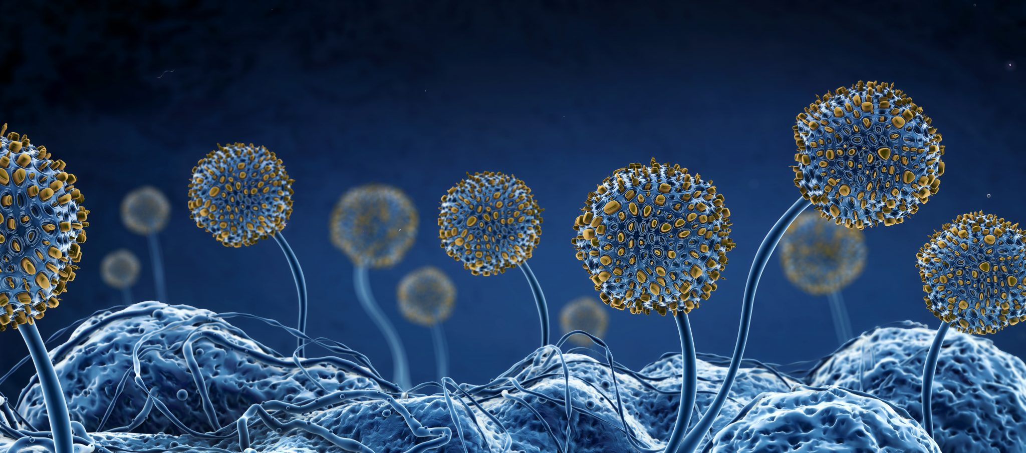 Mould Toxicity – a Hidden Cause of Anxiety and Chronic Illness