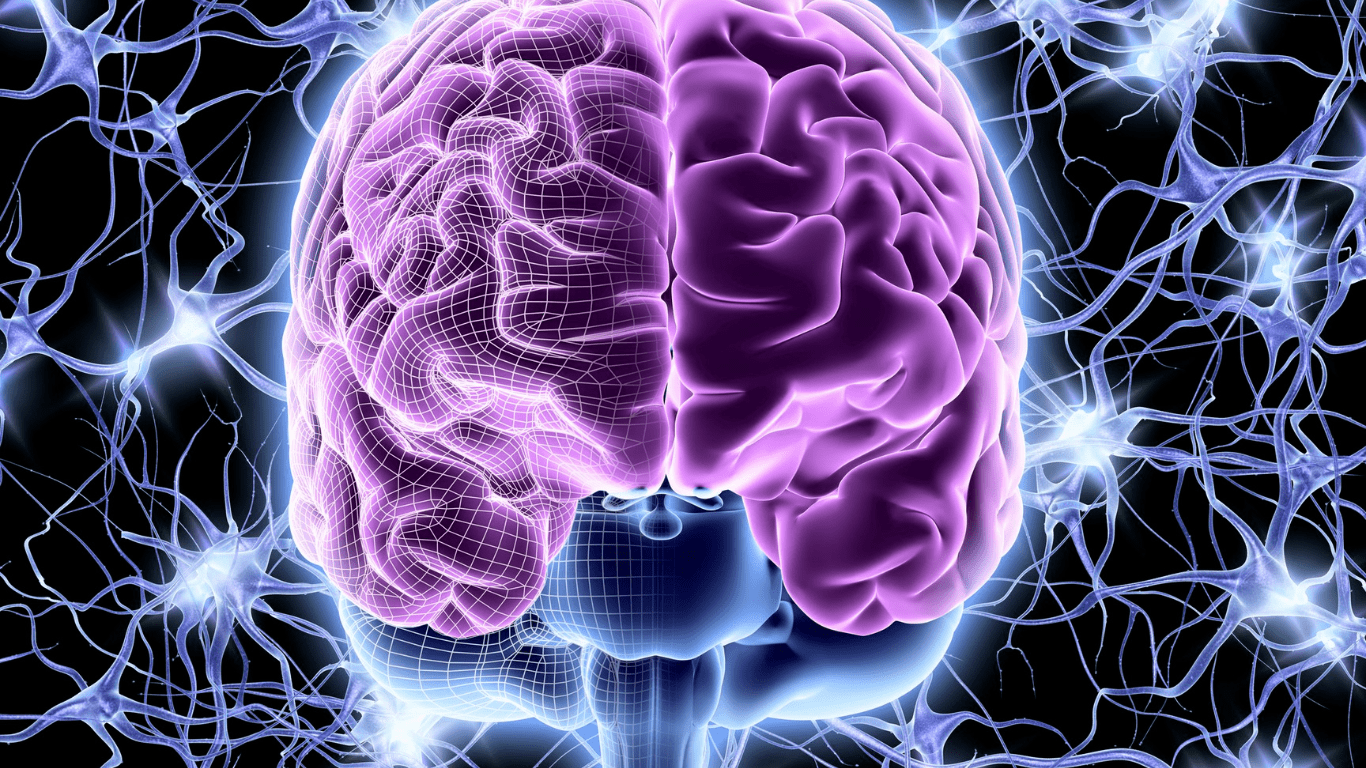 Avoiding Cognitive Decline – 5 Easy Steps to Add to Your Daily Work Routine